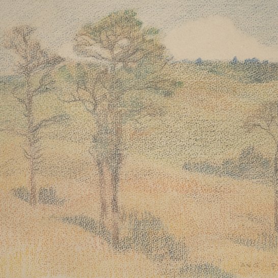 Auguste Donnay